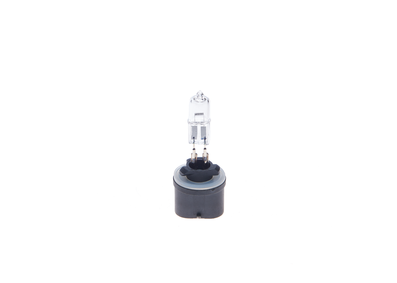 Bulb 5
