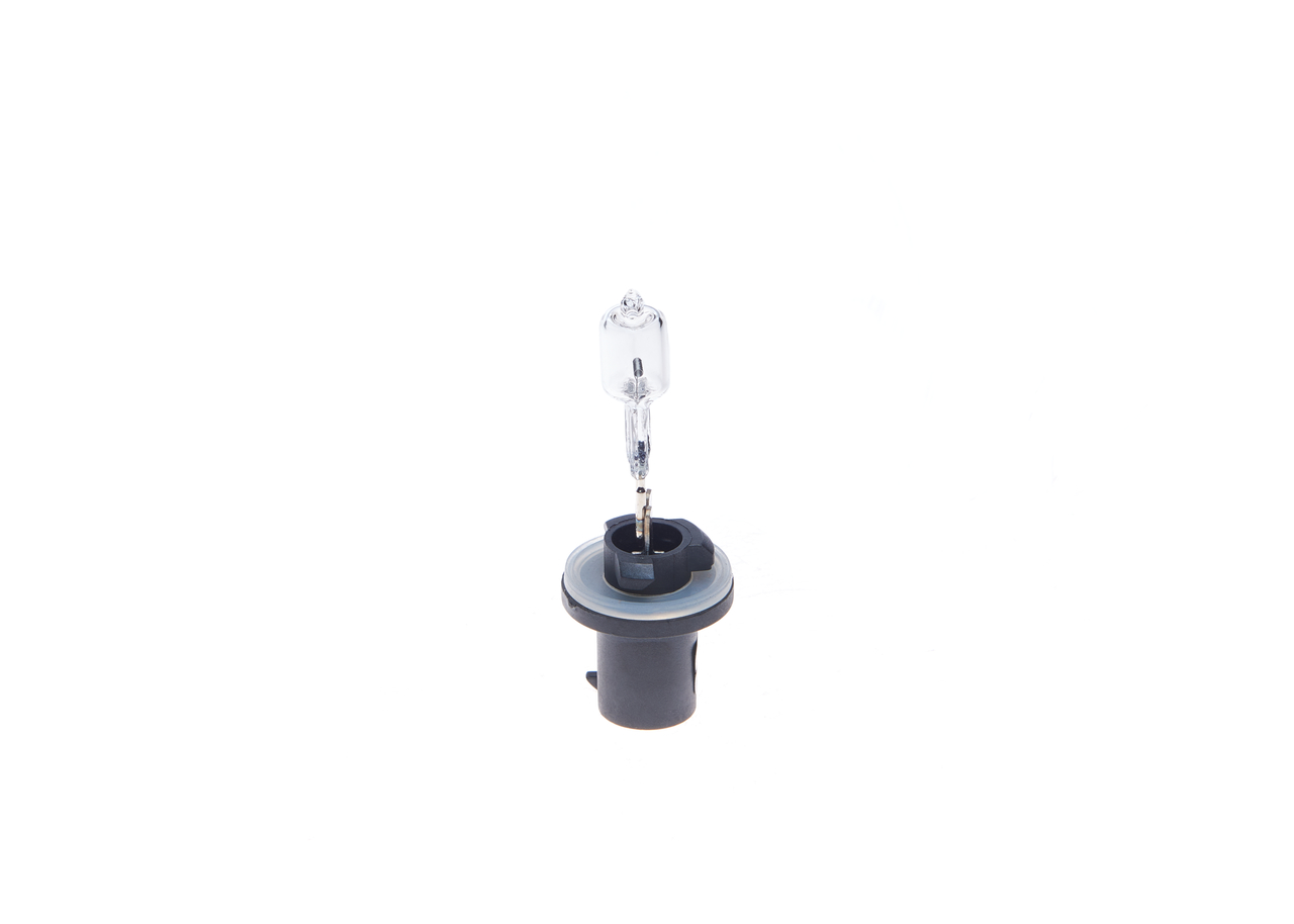 Bulb 6