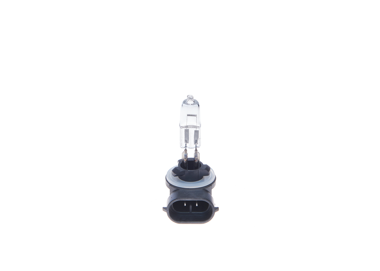 Bulb 3