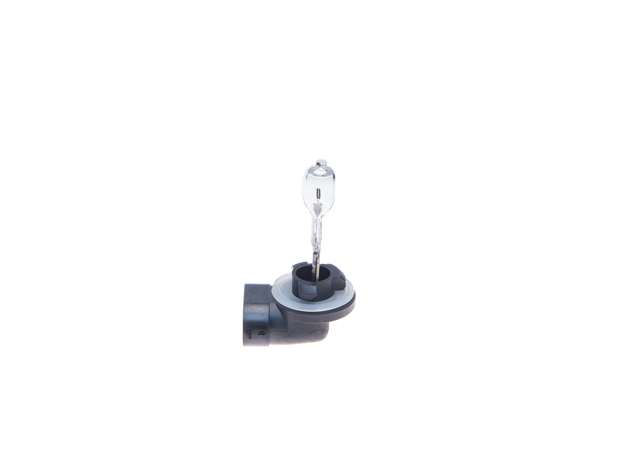 Bulb 4