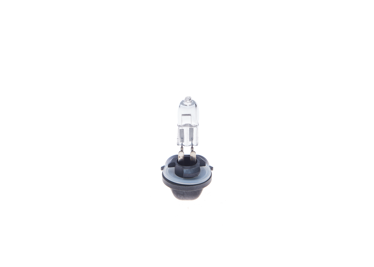 Bulb 5