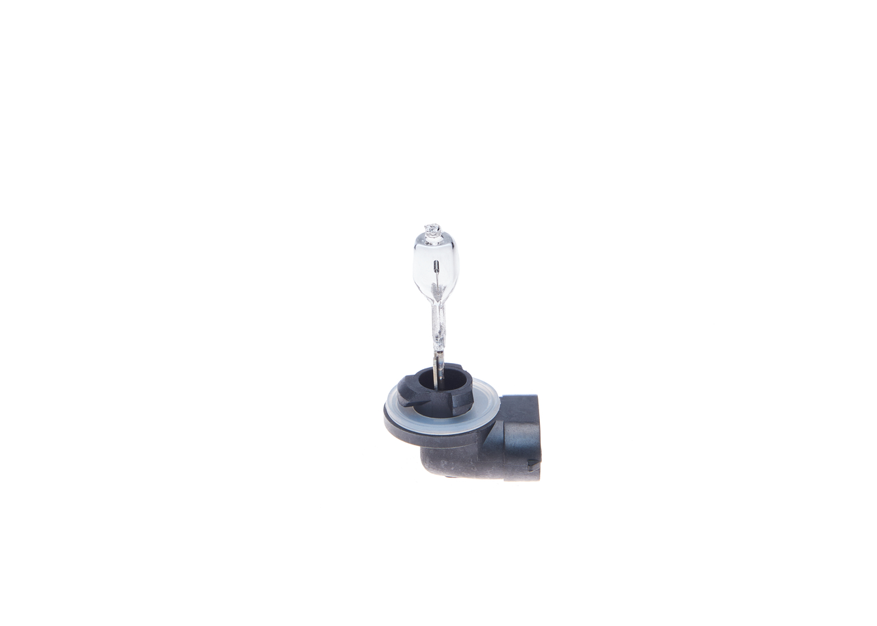 Bulb 6