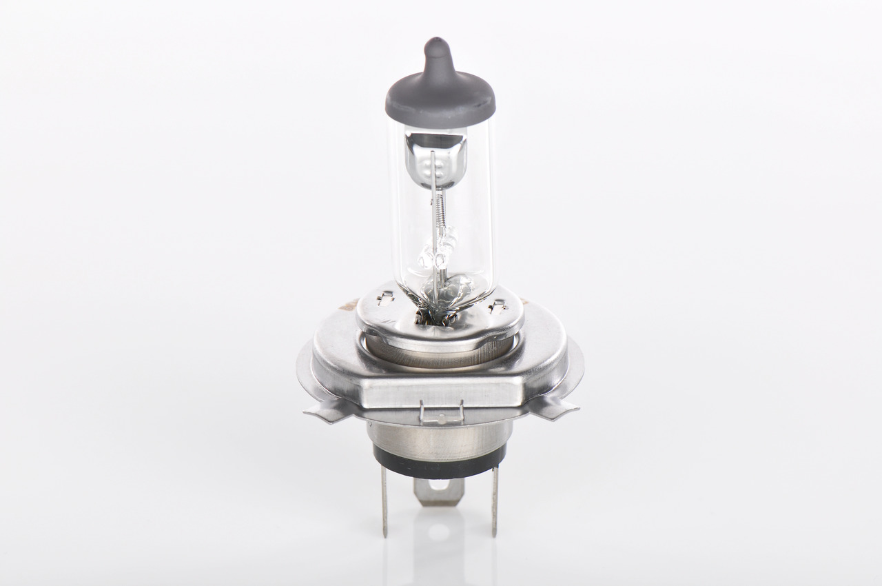 Bulb 4