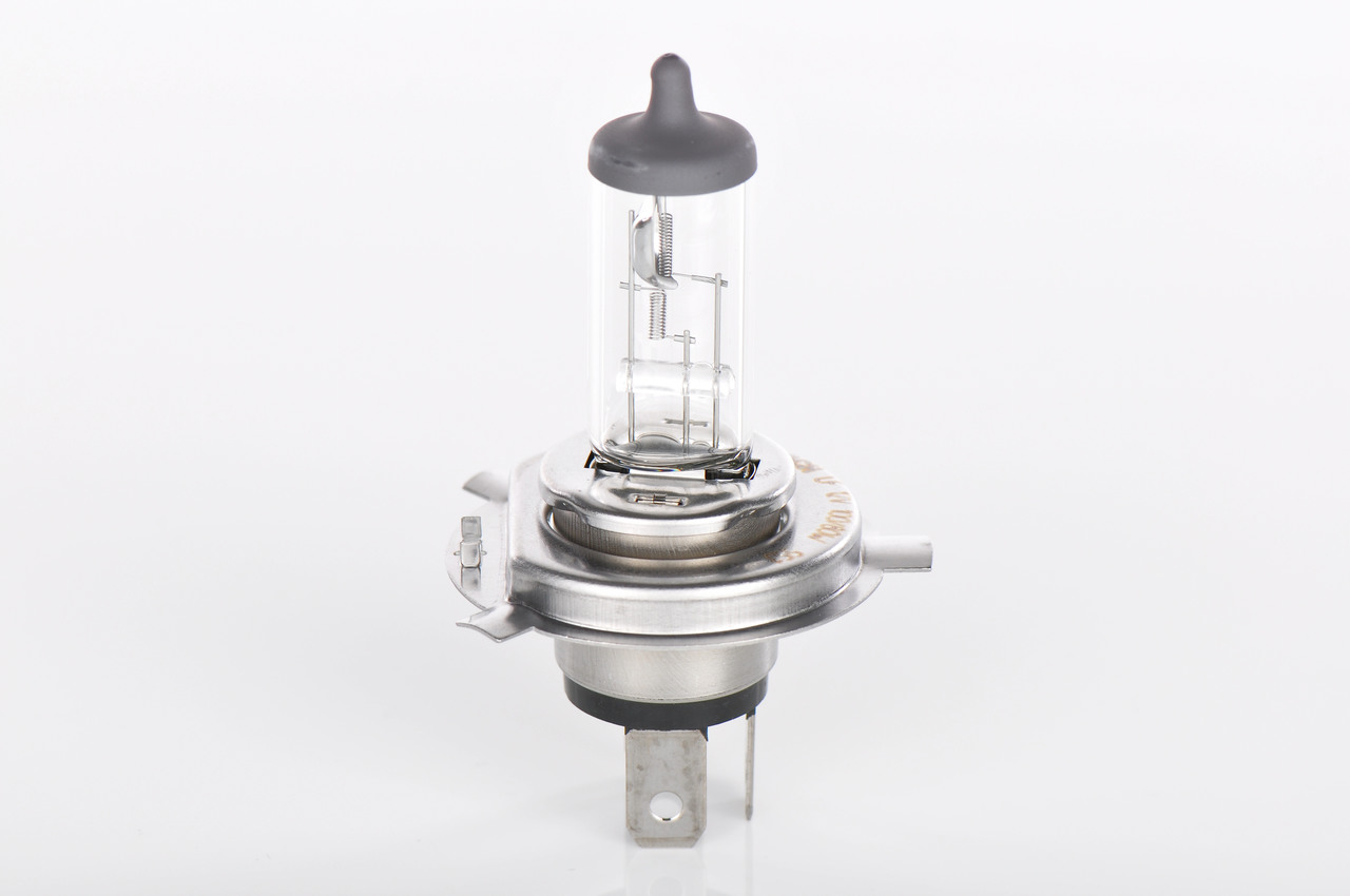 Bulb 5
