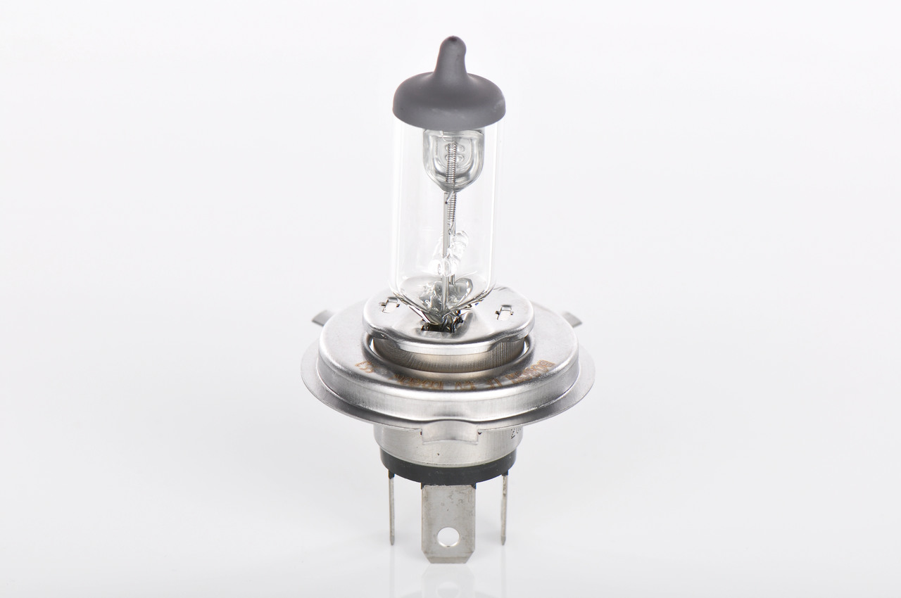 Bulb 6