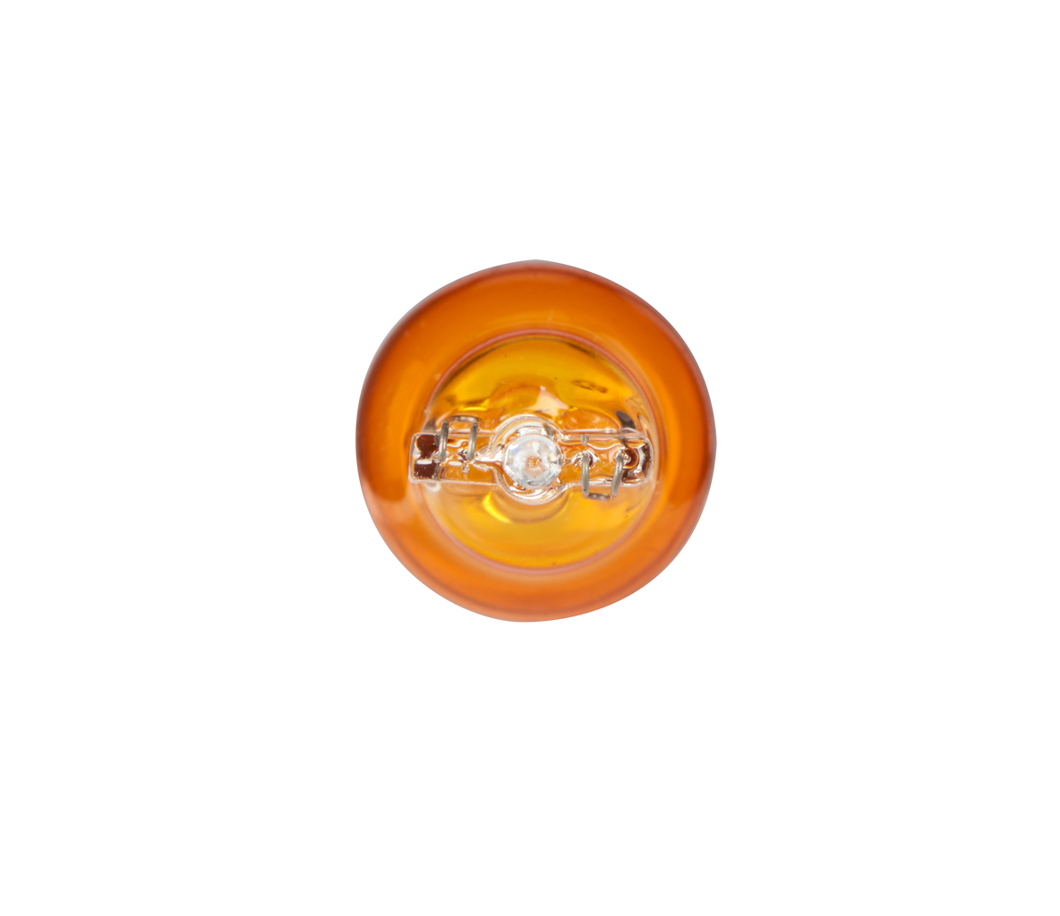 Bulb 7