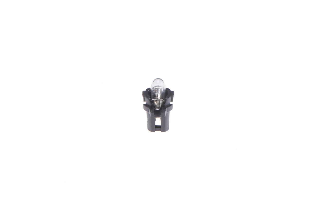 Bulb 4