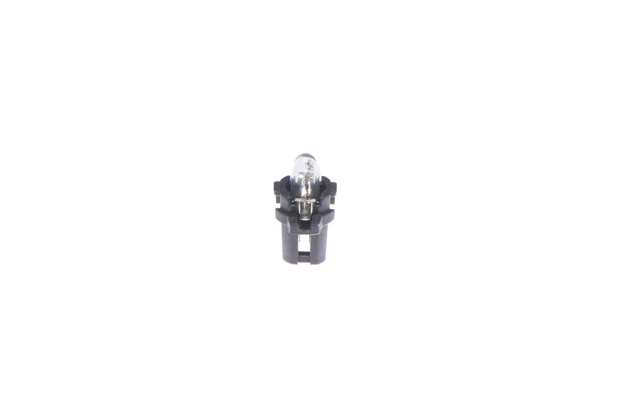 Bulb 6