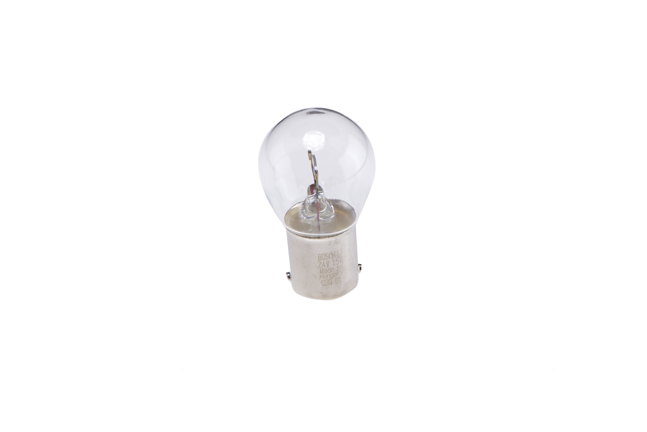 Bulb 6