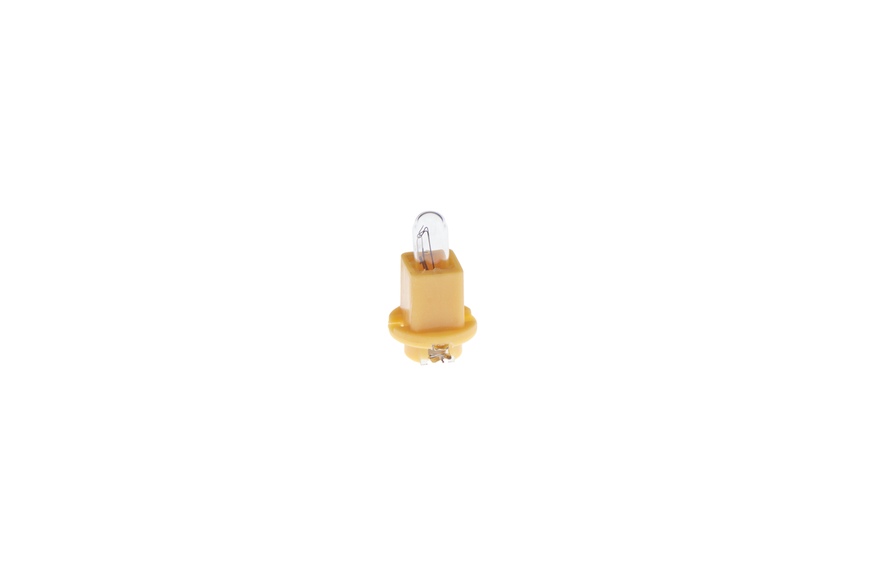 Bulb 6