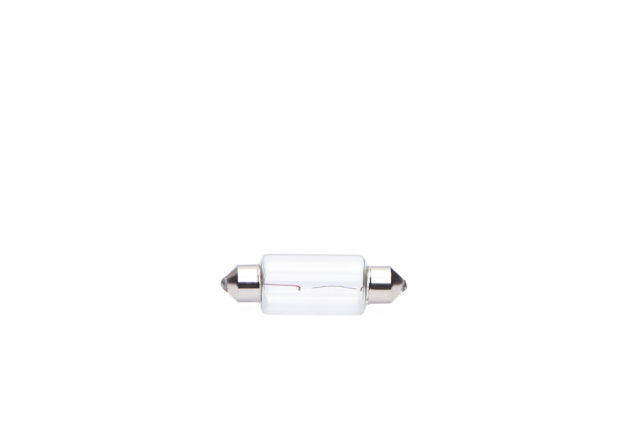 Bulb 5