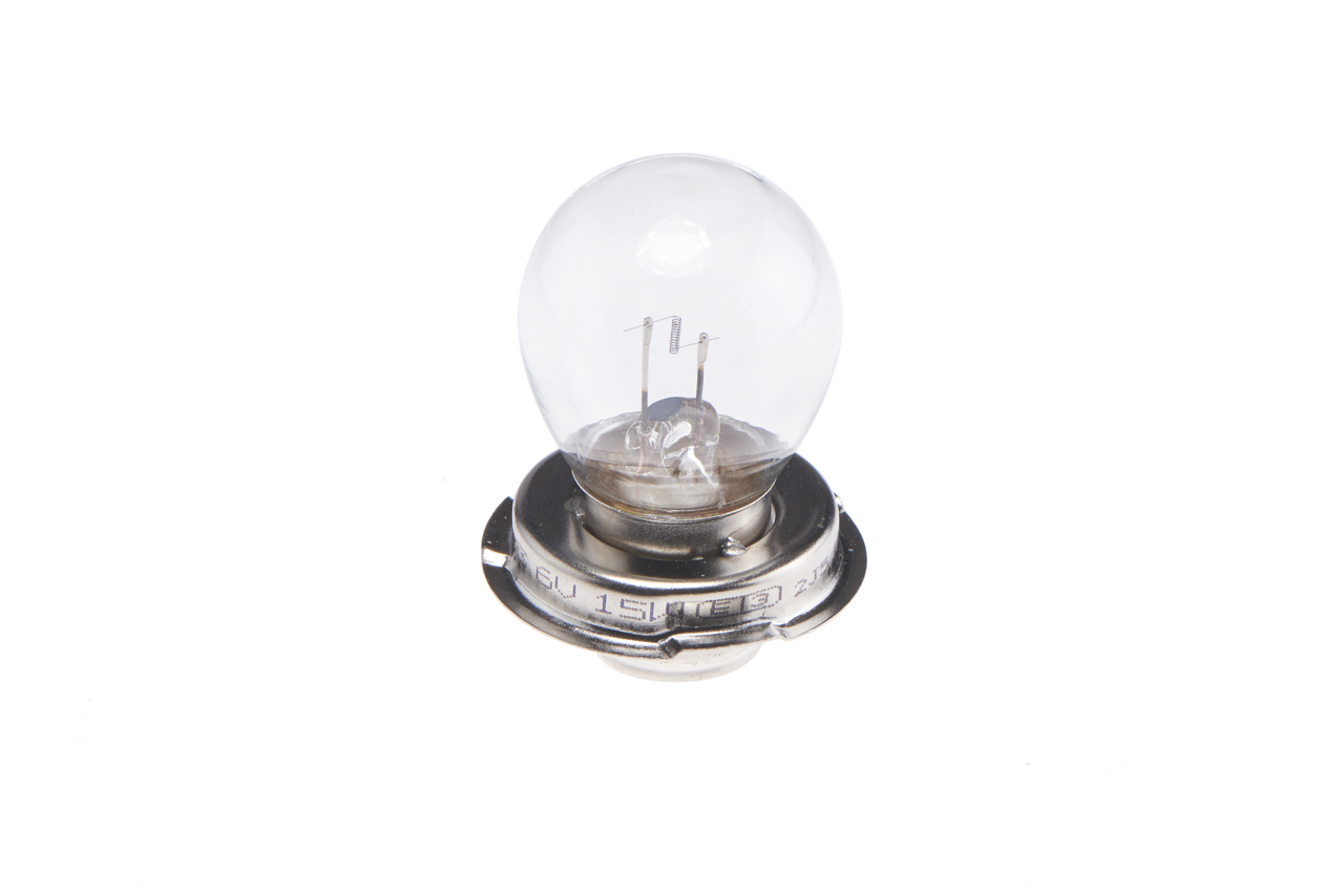 Bulb 4