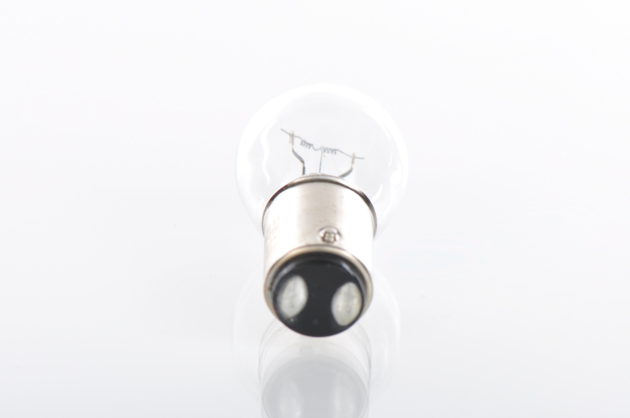 Bulb 4