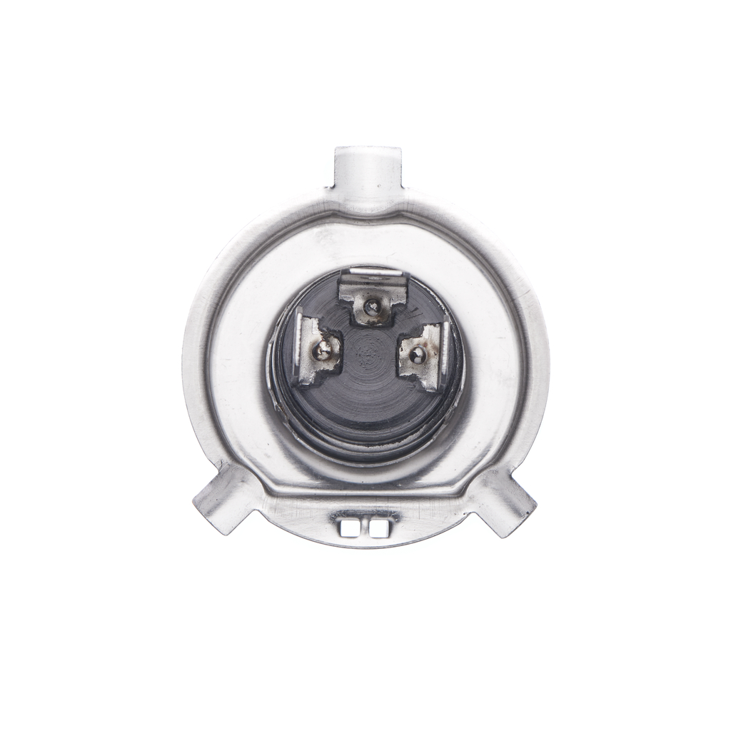 Bulb 7