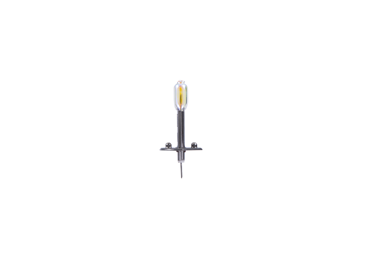 Bulb 4