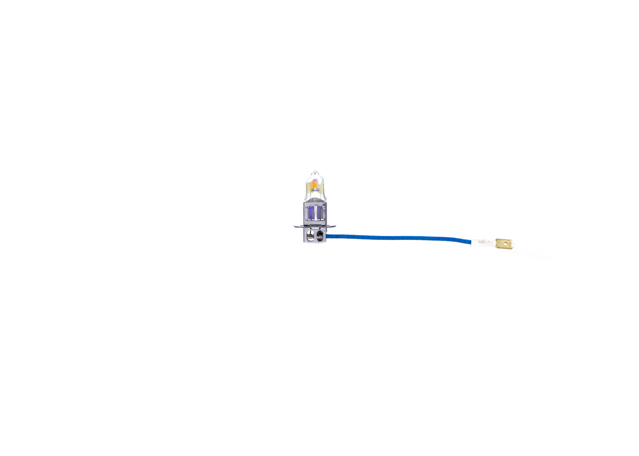 Bulb