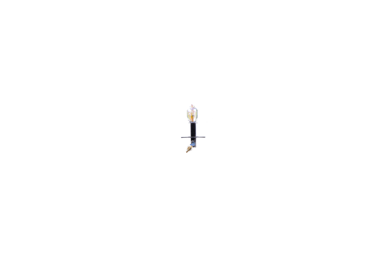 Bulb 2