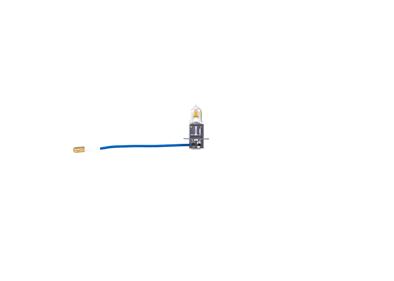 Bulb 3