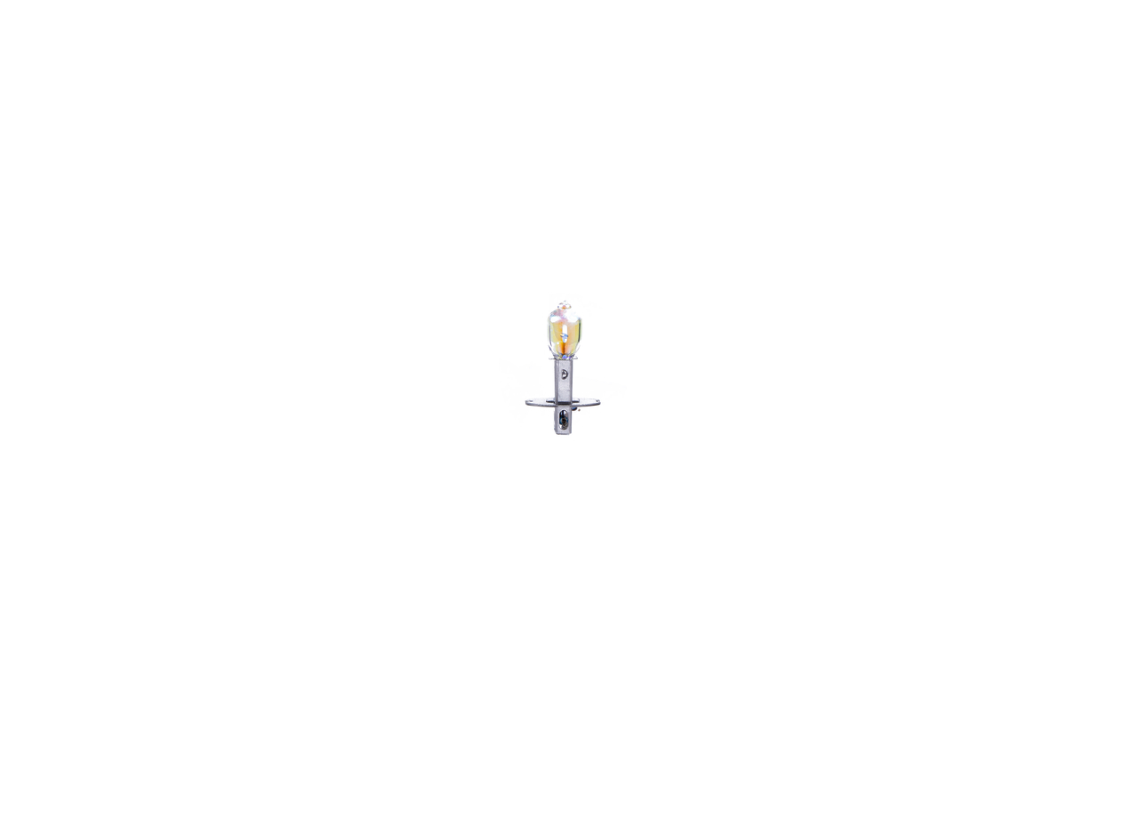 Bulb 4