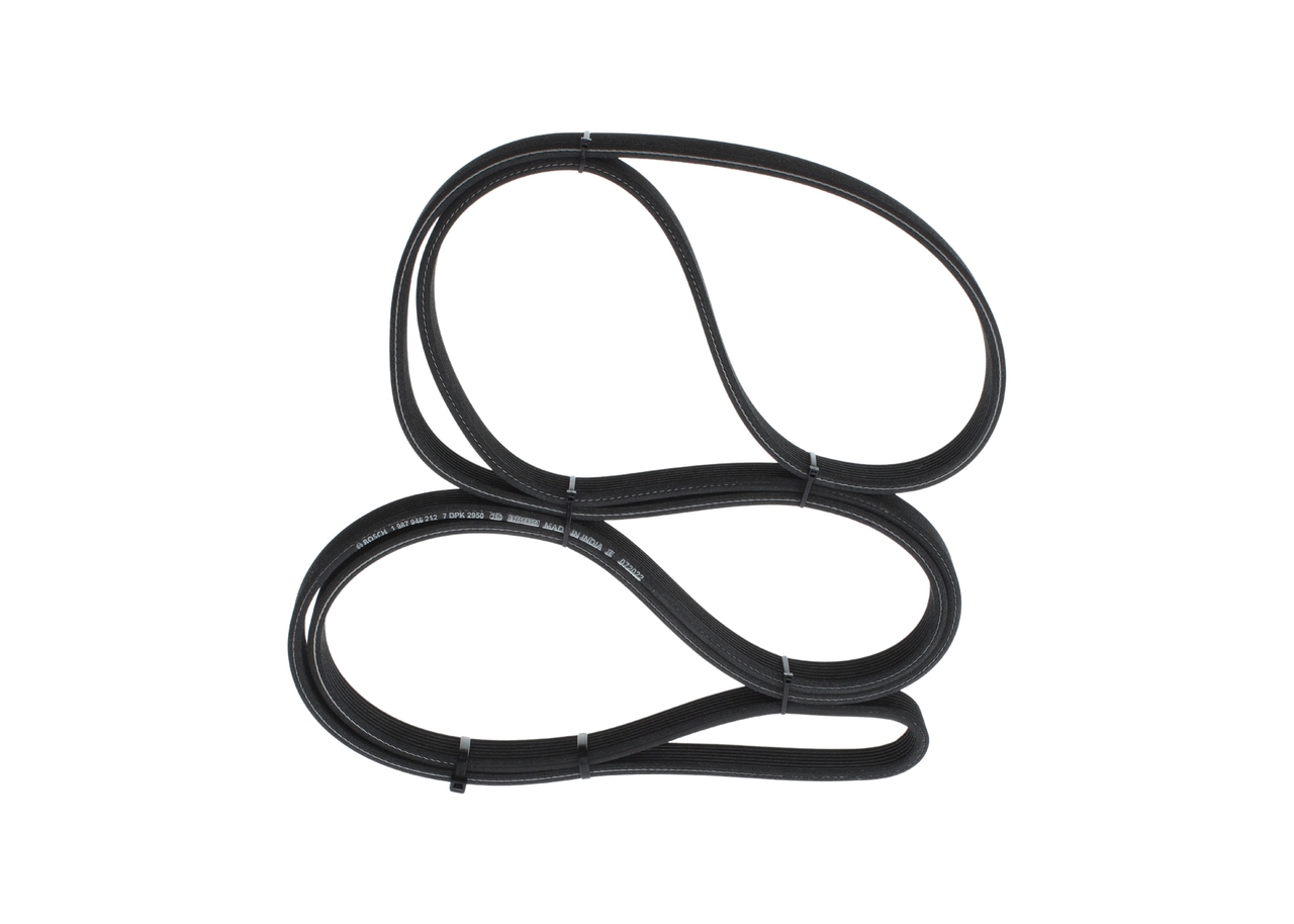 V-Ribbed Belt 5