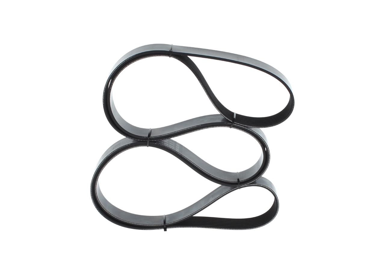 V-Ribbed Belt 5