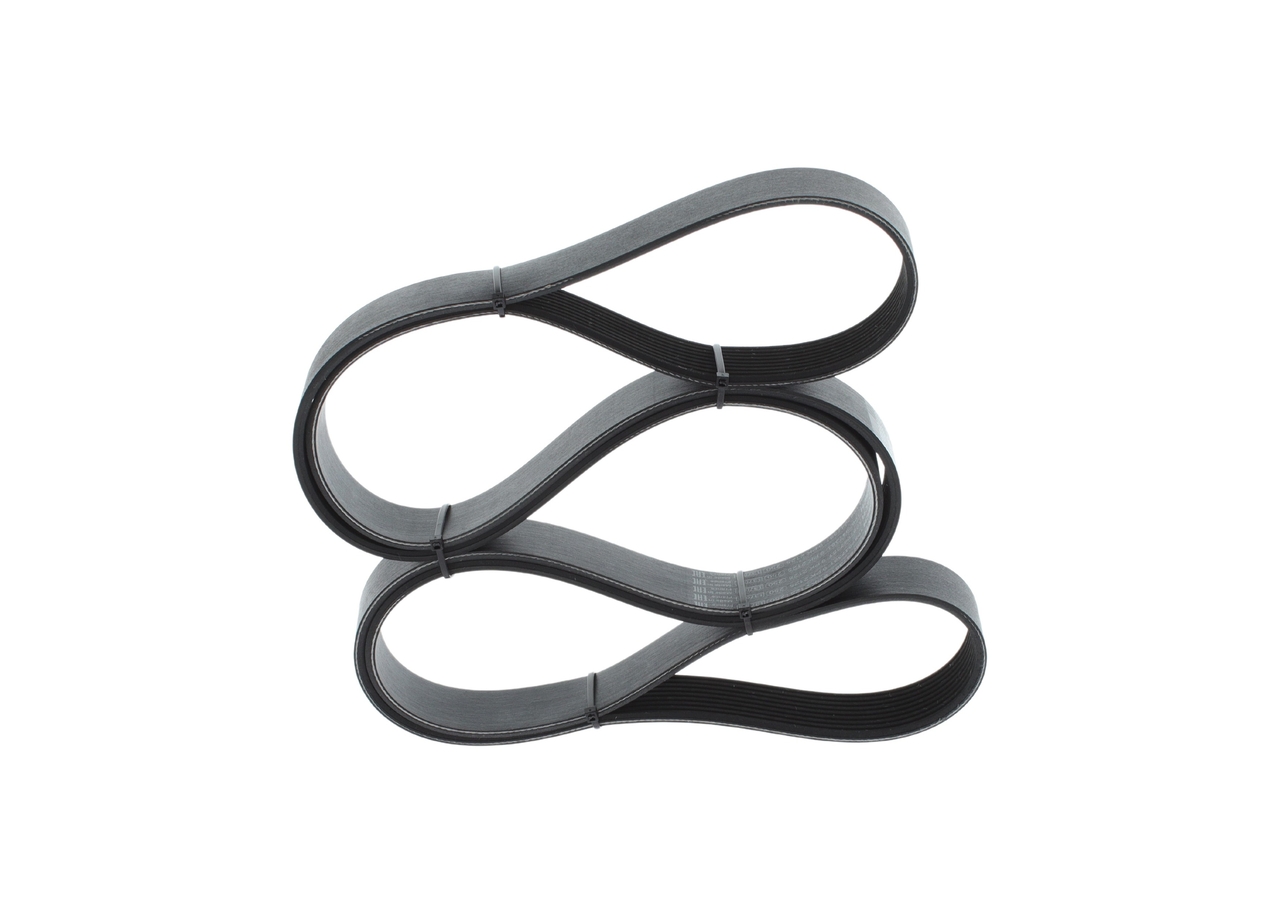 V-Ribbed Belt 5
