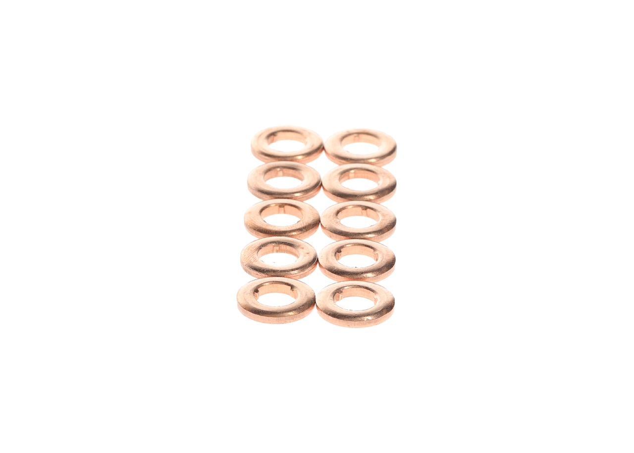 Seal Ring, injector 2