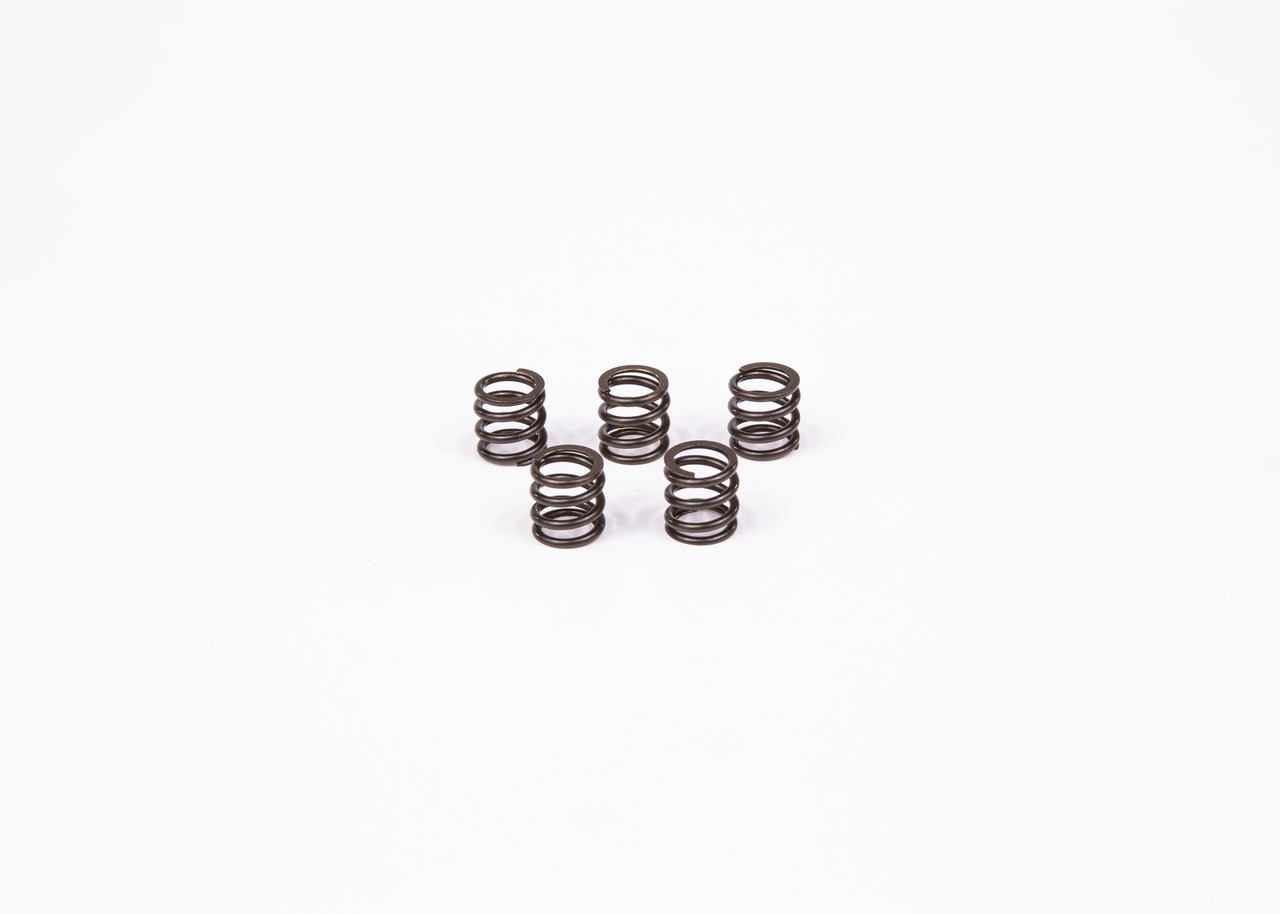 BOSCH 2 424 619 154 Feder