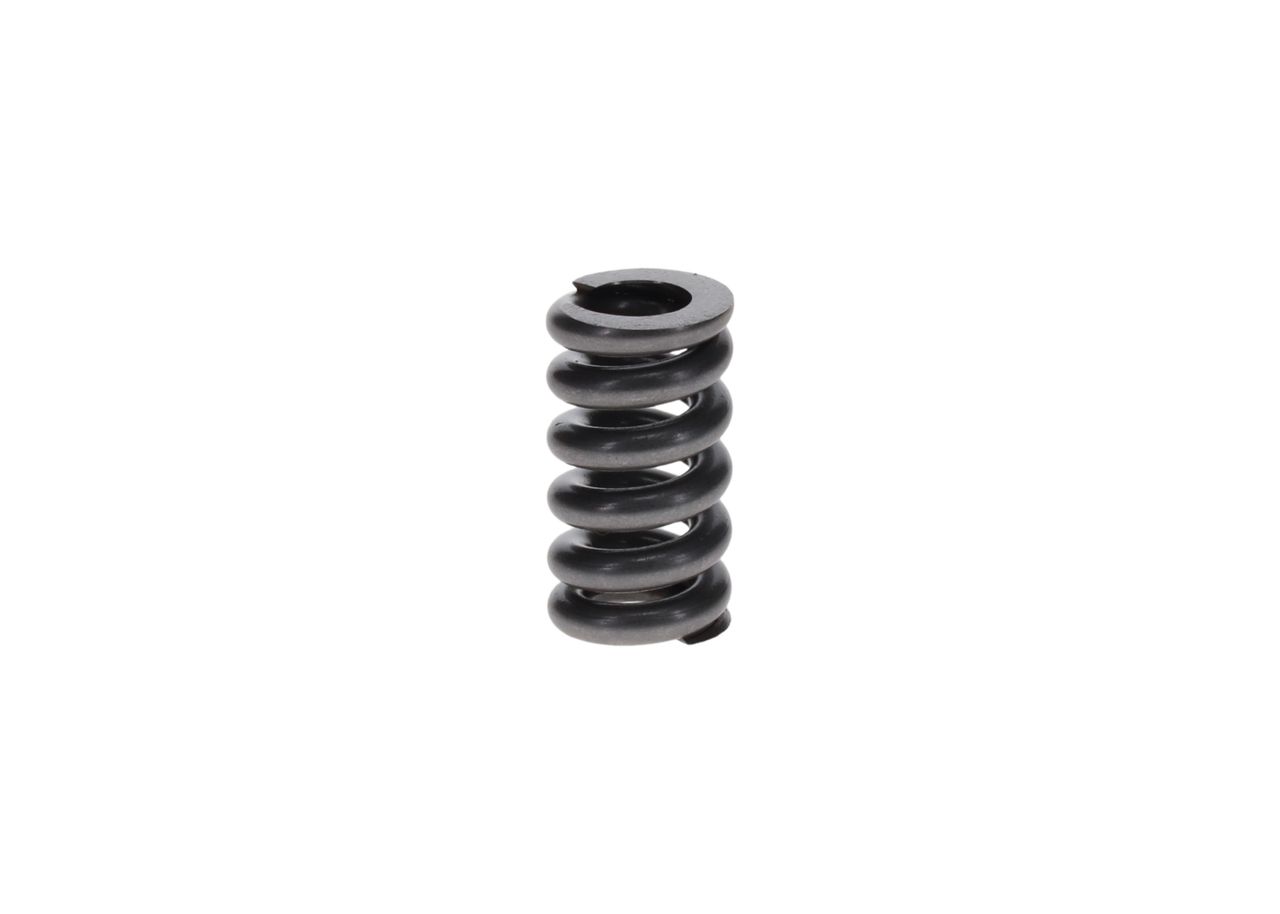 BOSCH 2 434 619 009 Spring