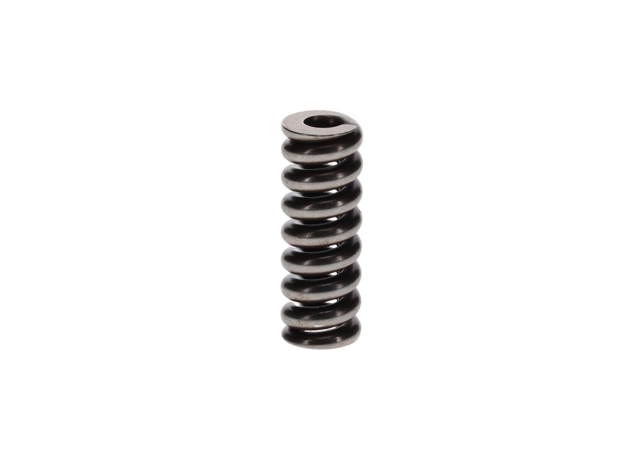 BOSCH 2 434 619 046 Spring
