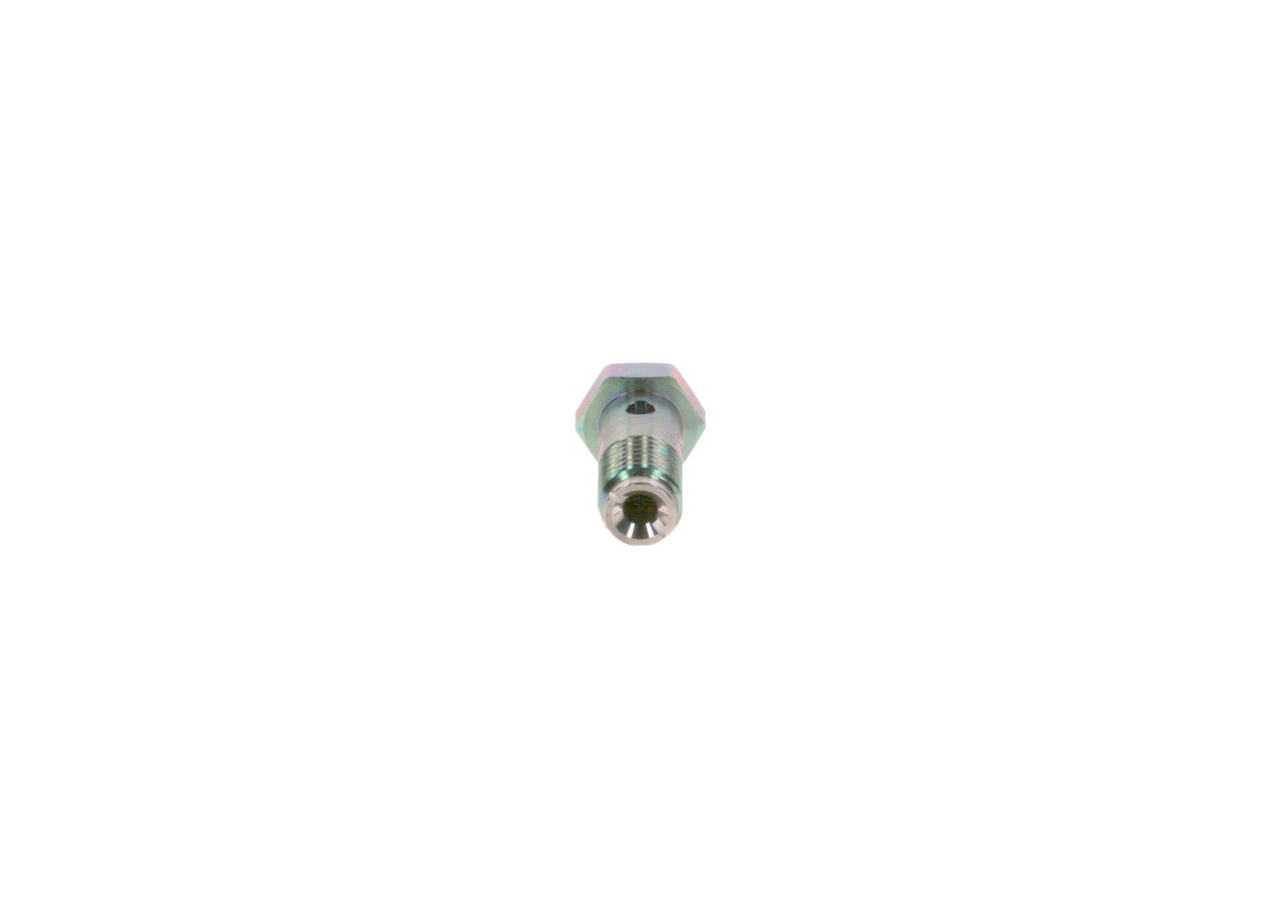 BOSCH 2 443 456 900 Schraube