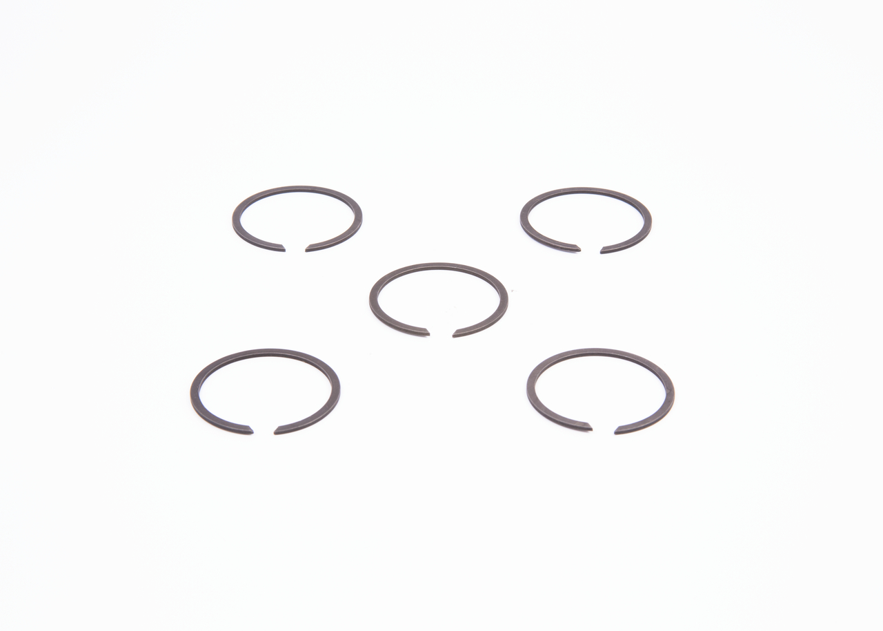 Seal Ring