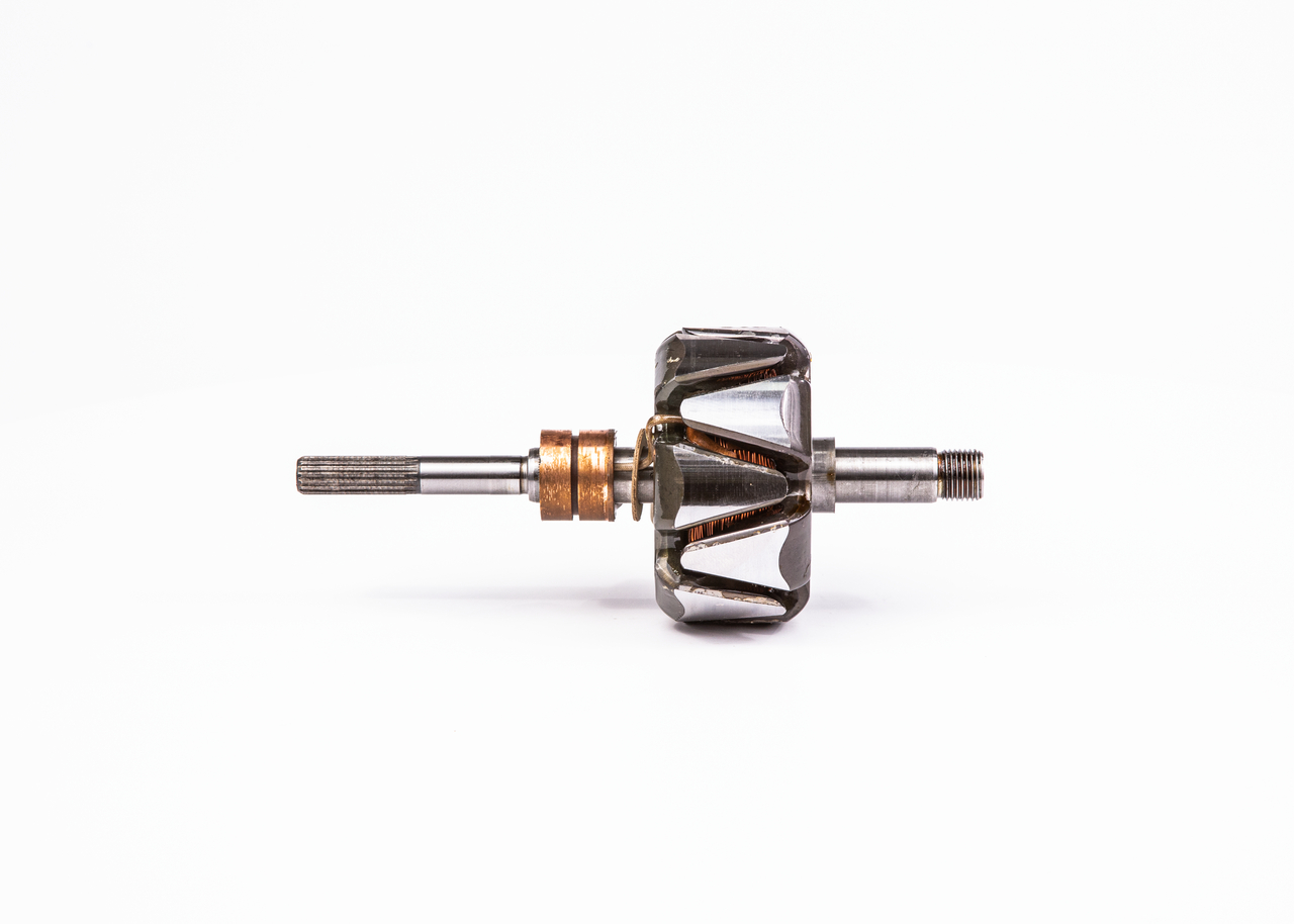 Rotor, alternator