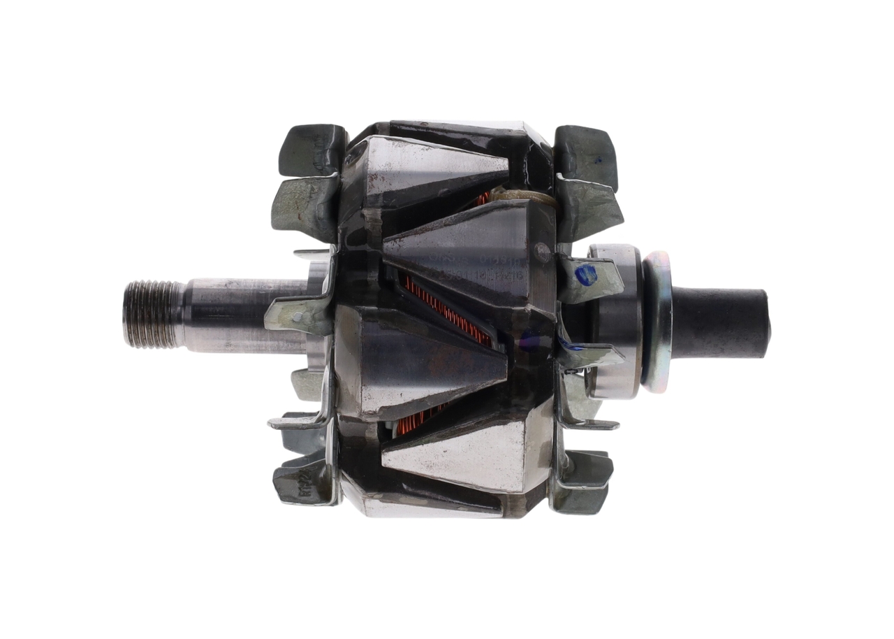 Rotor, alternator