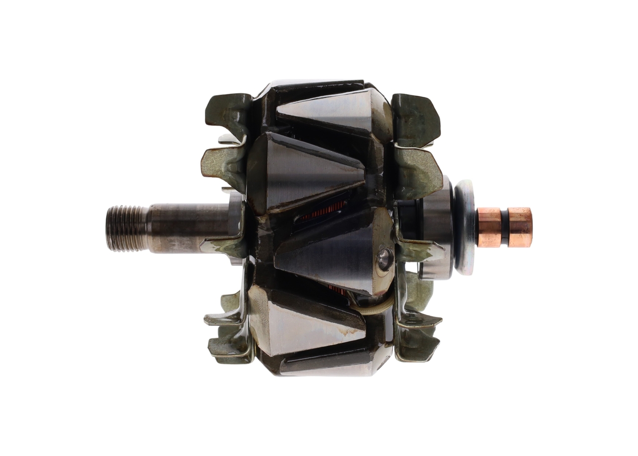 Rotor, alternator