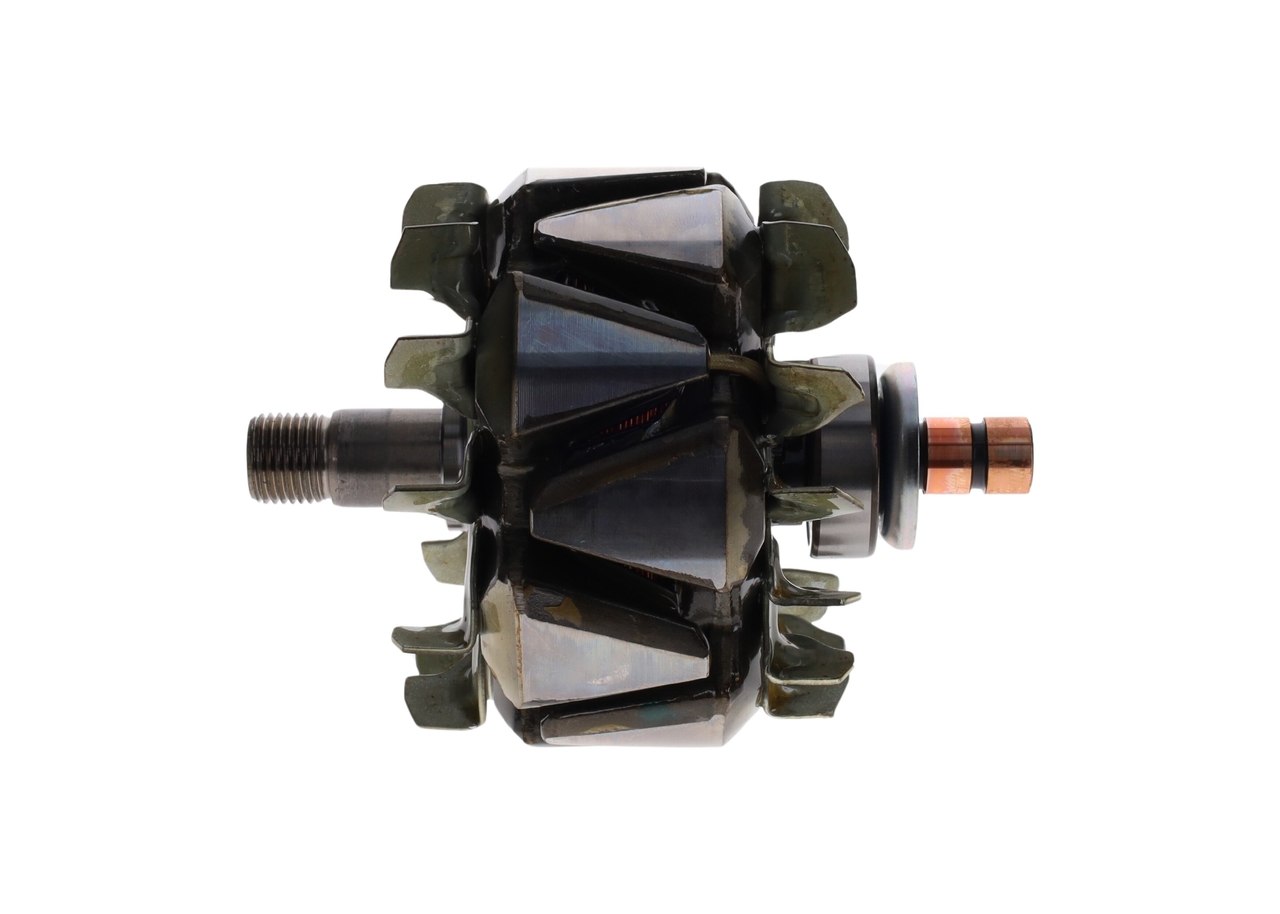 Rotor, alternator