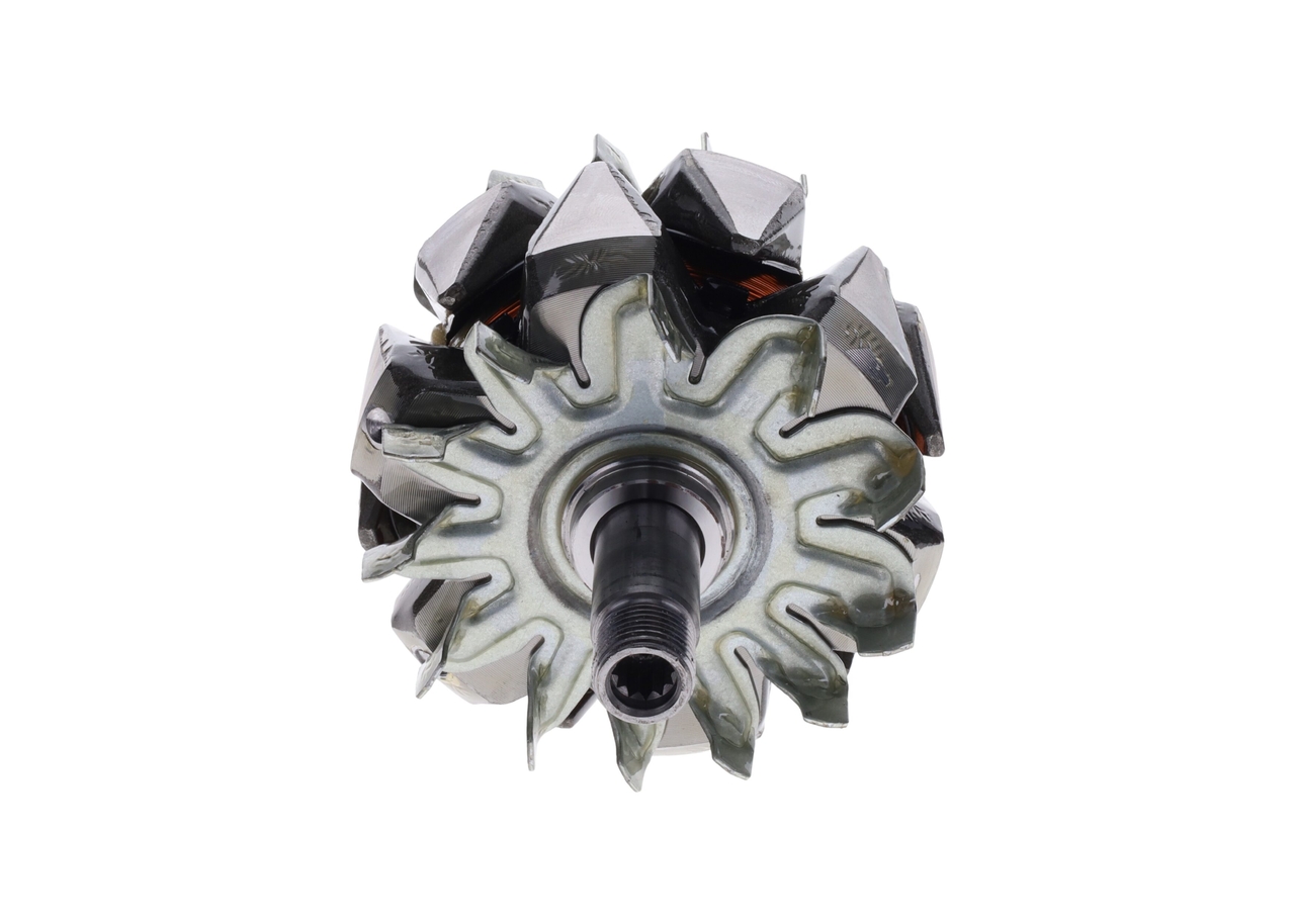 Rotor, alternator 4