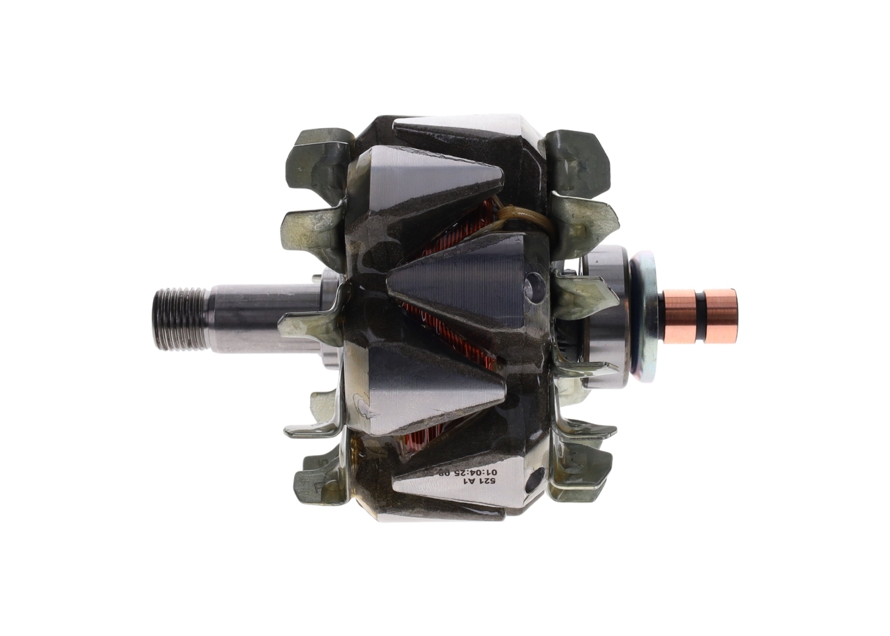 Rotor, alternator