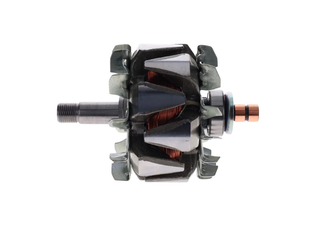 Rotor, alternator