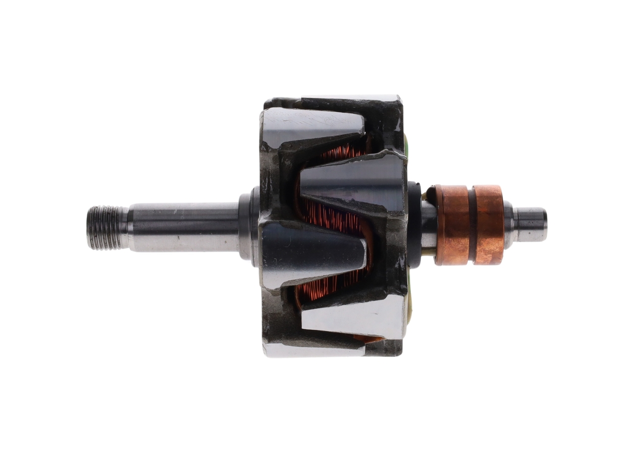 Rotor, alternator