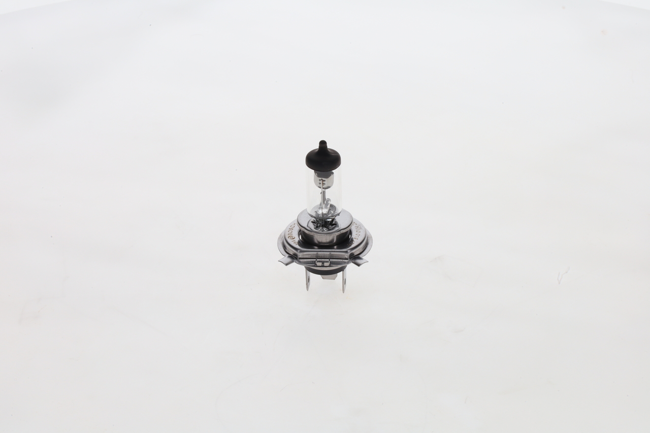 BOSCH F 002 H10 019 Glühlampe, Hauptscheinwerfer