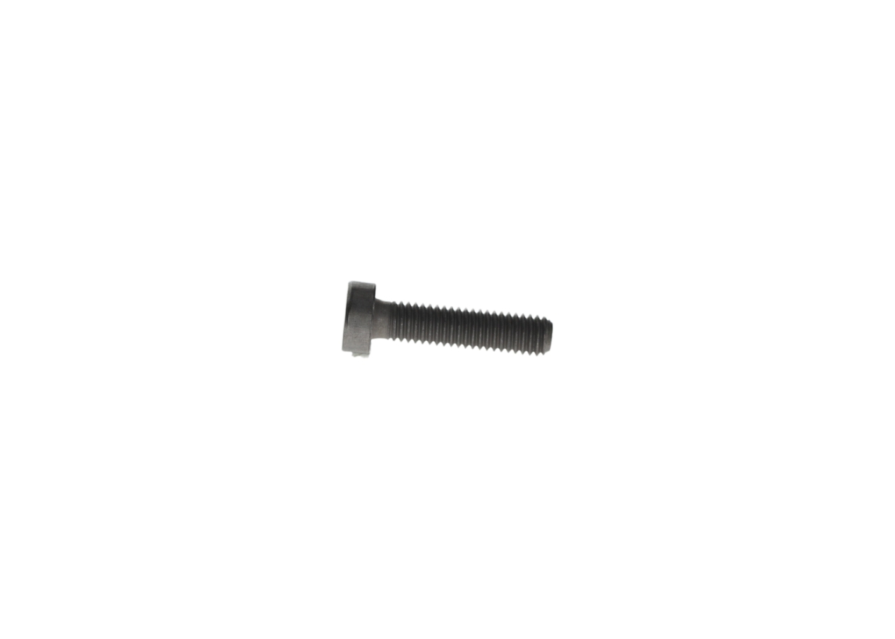 Screw 4