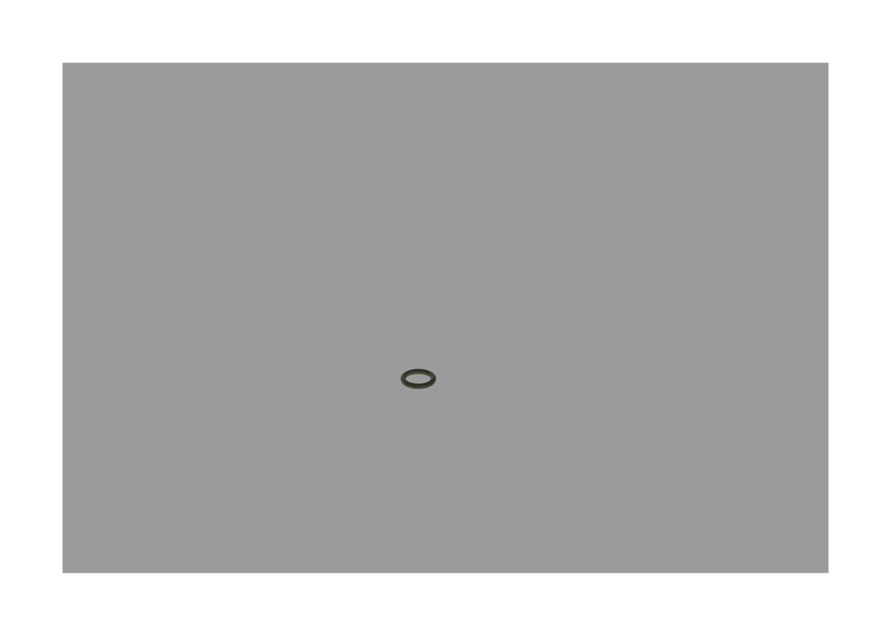 BOSCH F 00R 0P0 340 Gummiring