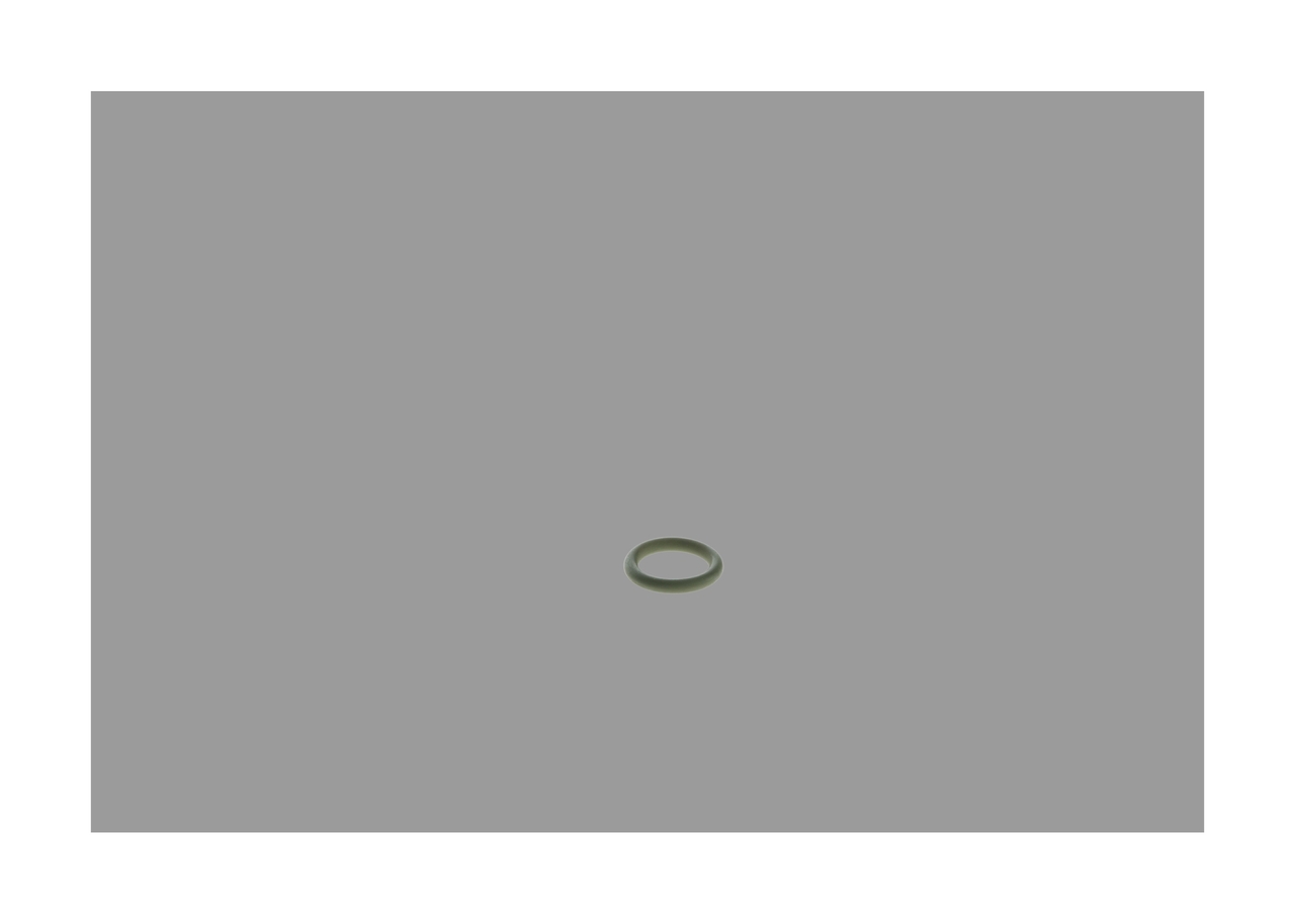 Rubber Ring 3