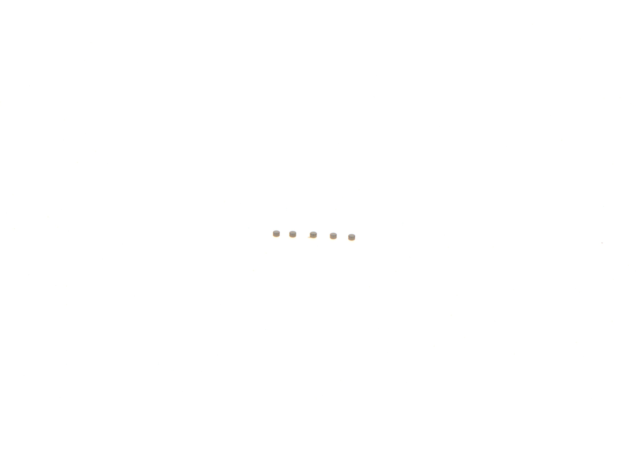 BOSCH F 00Z C99 755 Reparatursatz, Common-Rail-System