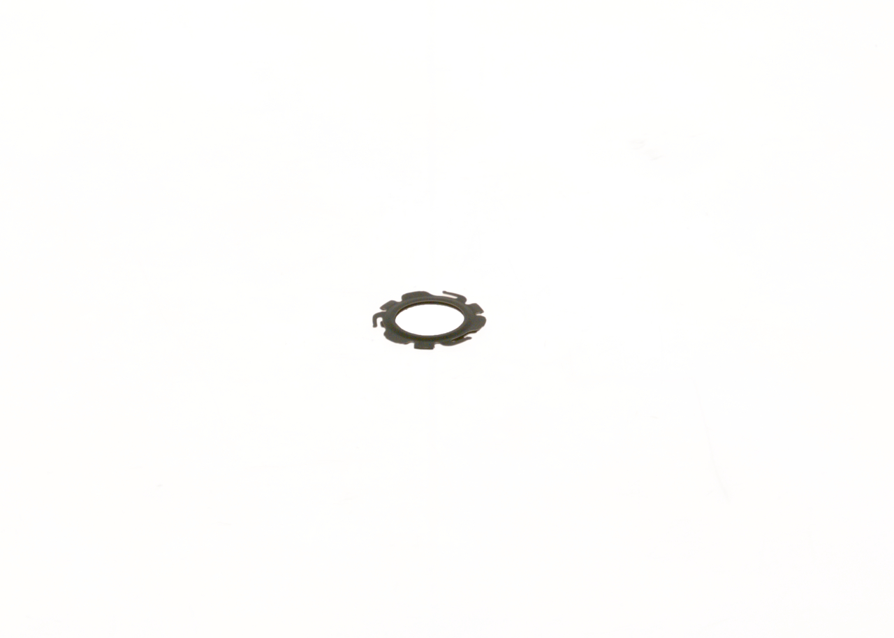 BOSCH F 01C 215 022 Dichtung
