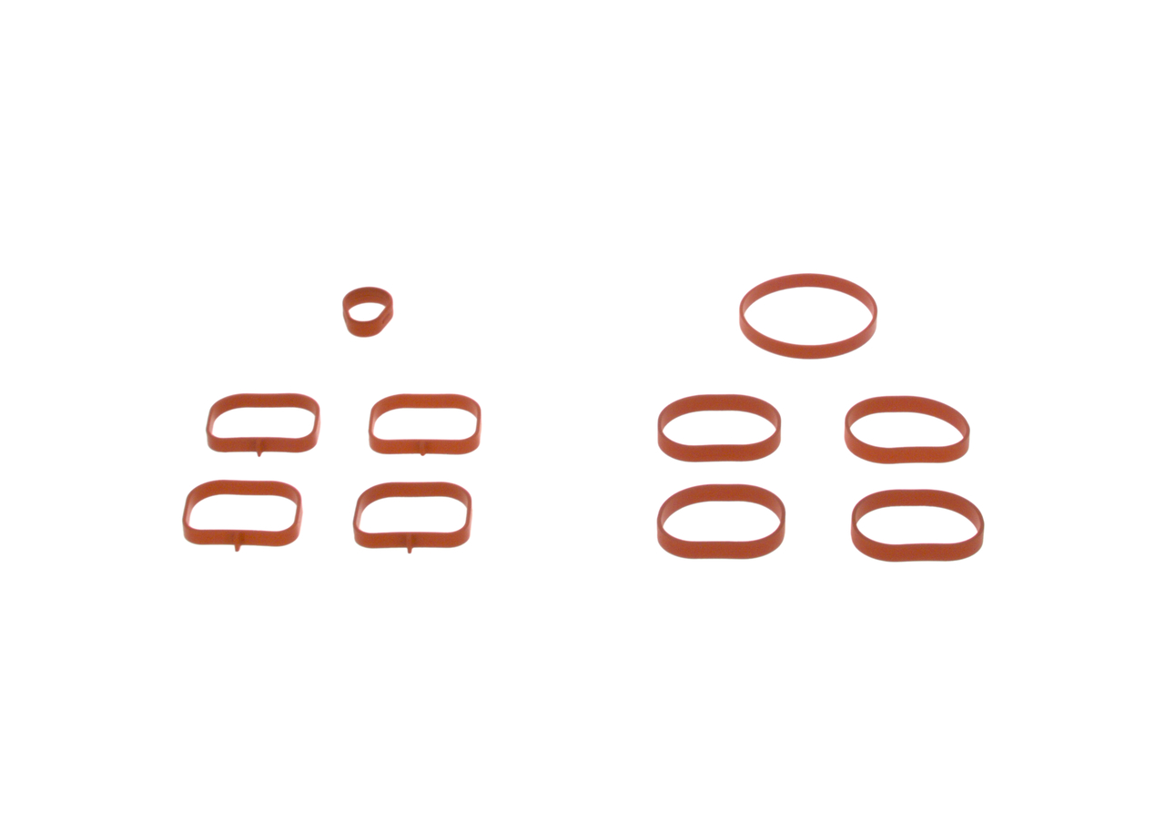 BOSCH F 01C 600 011 Dichtungssatz