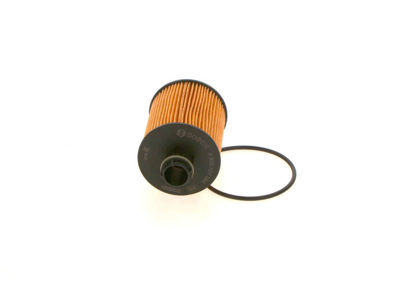 BOSCH F 026 407 095 Oil Filter