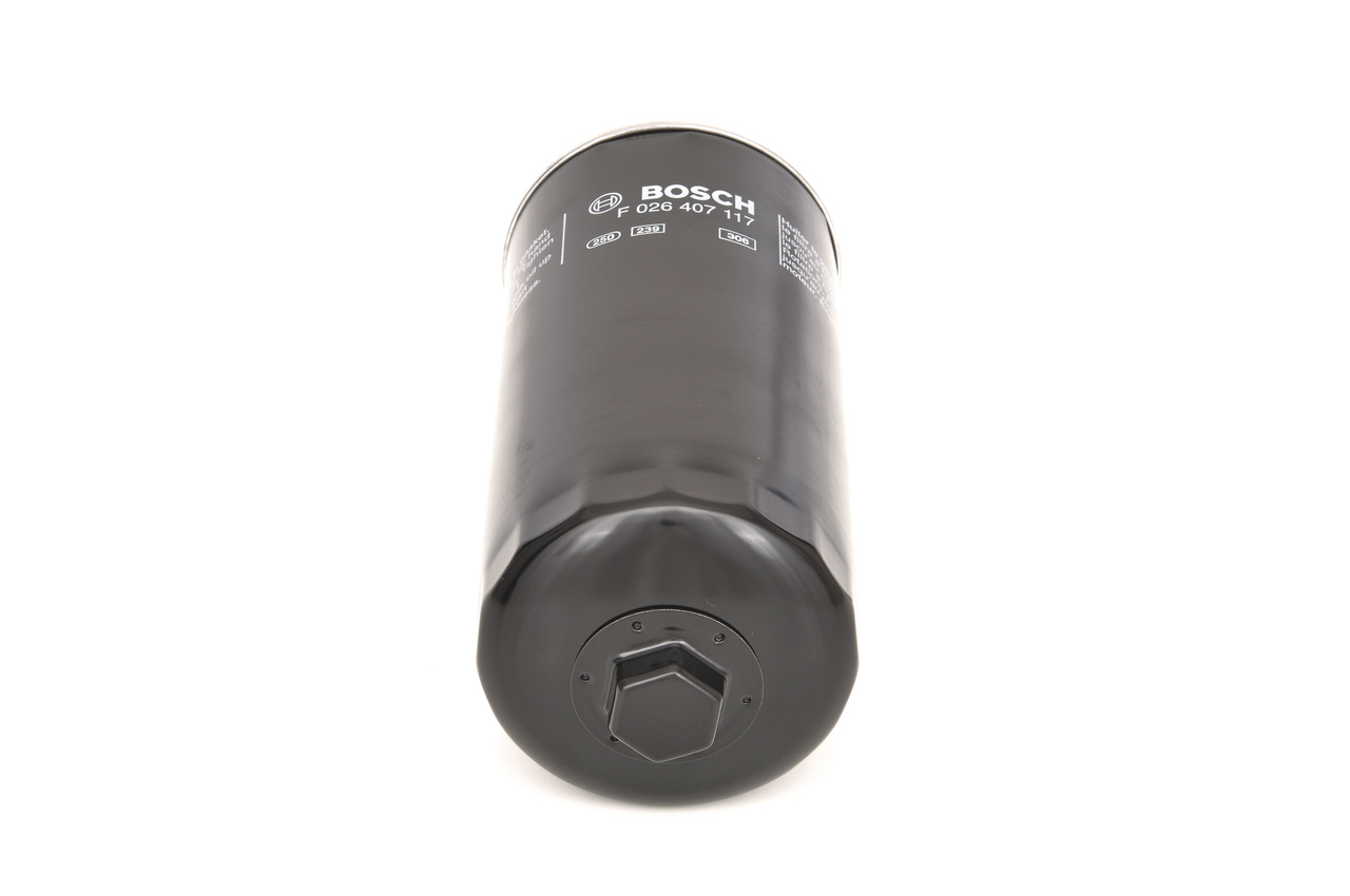 BOSCH F 026 407 117 Oil Filter