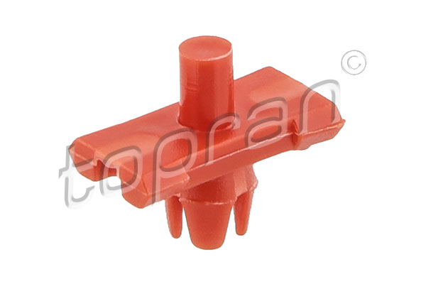 Clip, trim/protection strip